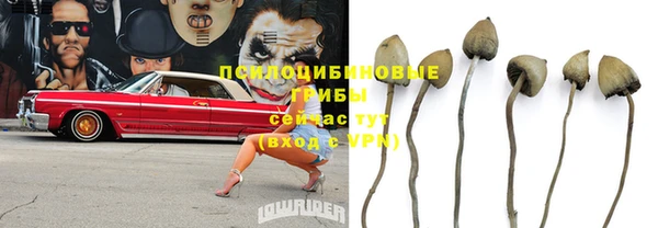 ешки Абаза