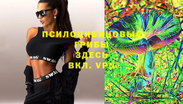 ешки Абаза