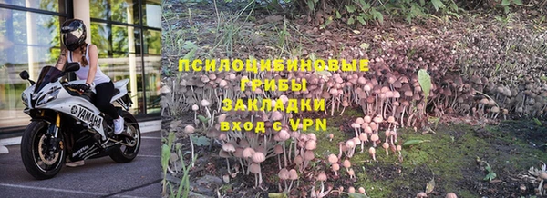 ешки Абдулино